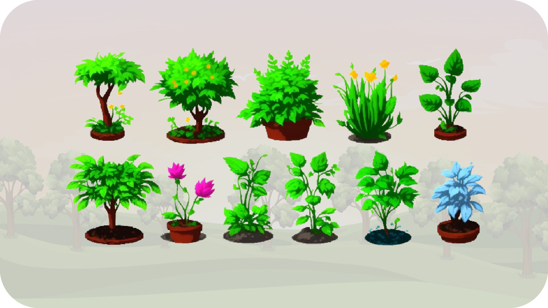 Plants